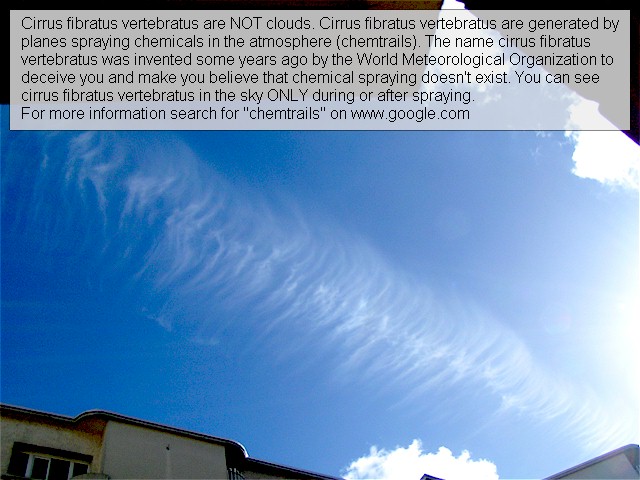 cirrus fibratus vertebratus are NOT clouds