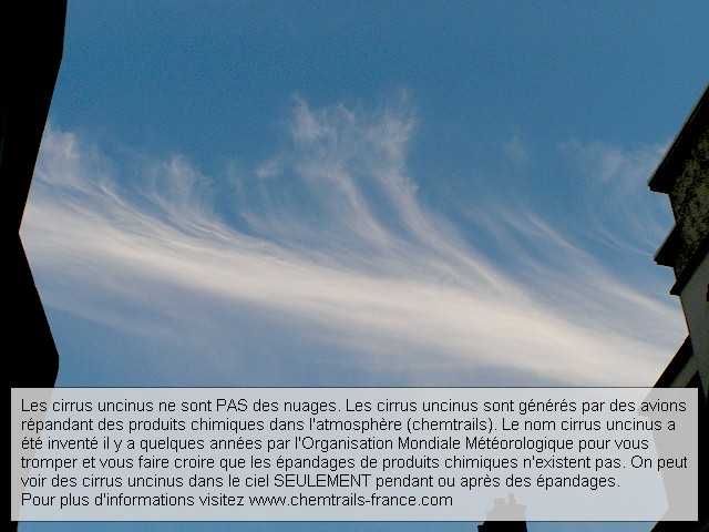 les cirrus uncinus ne sont PAS des nuages