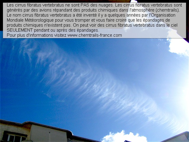 les cirrus fibratus vertebratus ne sont PAS des nuages